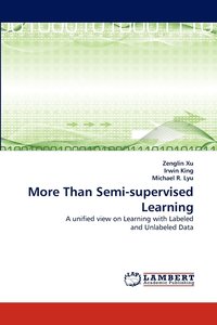 bokomslag More Than Semi-Supervised Learning