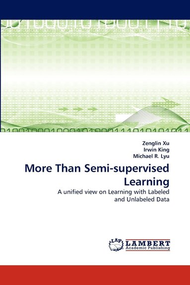 bokomslag More Than Semi-Supervised Learning