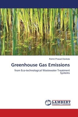 bokomslag Greenhouse Gas Emissions