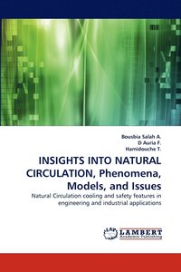 bokomslag Insights Into Natural Circulation, Phenomena, Models, and Issues