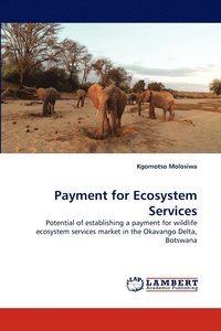 bokomslag Payment for Ecosystem Services