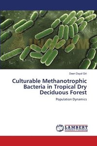 bokomslag Culturable Methanotrophic Bacteria in Tropical Dry Deciduous Forest