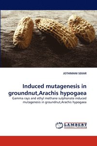 bokomslag Induced Mutagenesis in Groundnut, Arachis Hypogaea