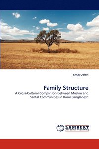 bokomslag Family Structure