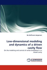 bokomslag Low-Dimensional Modeling and Dynamics of a Driven Cavity Flow