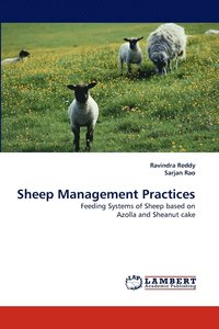 bokomslag Sheep Management Practices