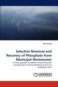 bokomslag Selective Removal and Recovery of Phosphate from Municipal Wastewater