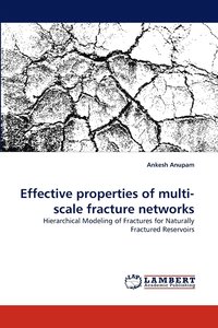 bokomslag Effective properties of multi-scale fracture networks