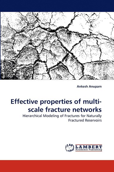 bokomslag Effective properties of multi-scale fracture networks