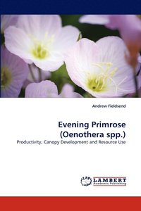 bokomslag Evening Primrose (Oenothera Spp.)