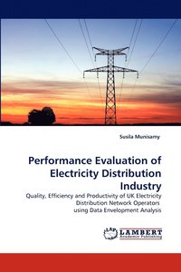 bokomslag Performance Evaluation of Electricity Distribution Industry