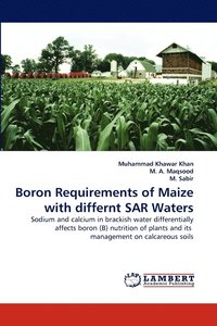 bokomslag Boron Requirements of Maize with differnt SAR Waters