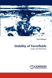bokomslag Stability of Ferrofluids