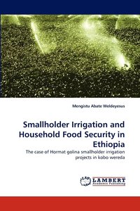 bokomslag Smallholder Irrigation and Household Food Security in Ethiopia