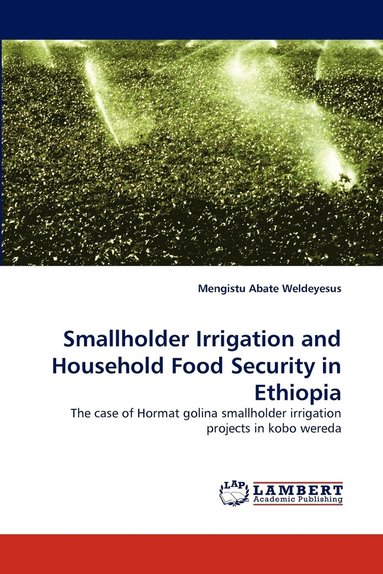 bokomslag Smallholder Irrigation and Household Food Security in Ethiopia