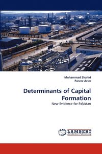 bokomslag Determinants of Capital Formation