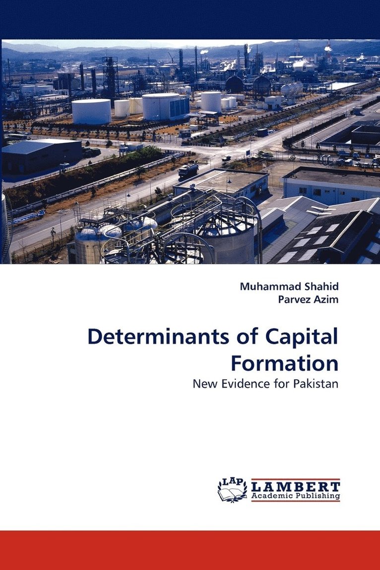 Determinants of Capital Formation 1