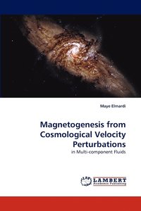 bokomslag Magnetogenesis from Cosmological Velocity Perturbations