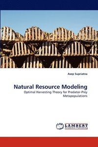 bokomslag Natural Resource Modeling