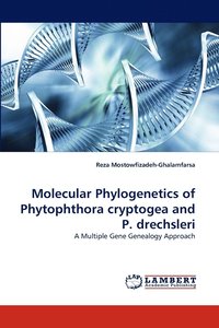 bokomslag Molecular Phylogenetics of Phytophthora Cryptogea and P. Drechsleri