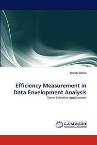 bokomslag Efficiency Measurement in Data Envelopment Analysis