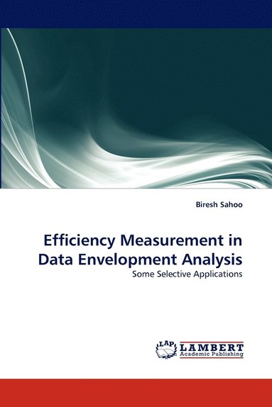 bokomslag Efficiency Measurement in Data Envelopment Analysis