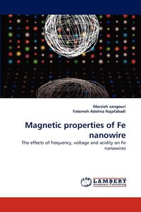bokomslag Magnetic Properties of Fe Nanowire
