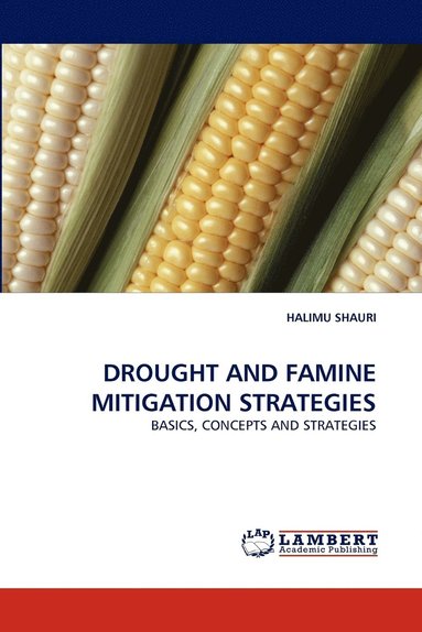 bokomslag Drought and Famine Mitigation Strategies