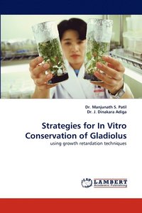 bokomslag Strategies for in Vitro Conservation of Gladiolus