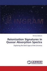 bokomslag Reionization Signatures in Quasar Absorption Spectra