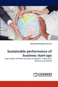 bokomslag Sustainable Performance of Business Start-Ups