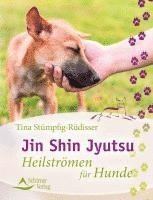 bokomslag Jin Shin Jyutsu