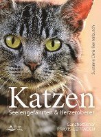 bokomslag Katzen - Seelengefährten & Herzeroberer