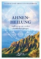 Jeanne Ruland, Shantidevi Felgenhauer - Ahnenheilung, Häftad