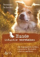 bokomslag Hunde intuitiv verstehen