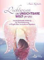 bokomslag Lichtwesen - die unsichtbare Welt um uns