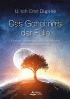 bokomslag Das Geheimnis der Fülle