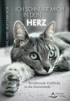 bokomslag Ich schnurr' mich in dein Herz