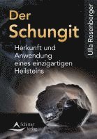 Der Schungit 1