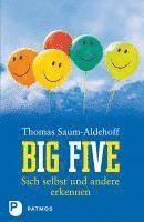 bokomslag Big Five