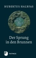 bokomslag Der Sprung in den Brunnen