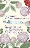 77 Wolkenfenster 1