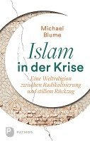 bokomslag Islam in der Krise