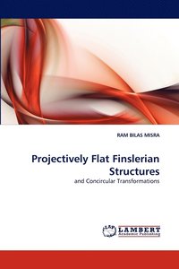 bokomslag Projectively Flat Finslerian Structures