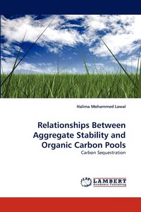 bokomslag Relationships Between Aggregate Stability and Organic Carbon Pools