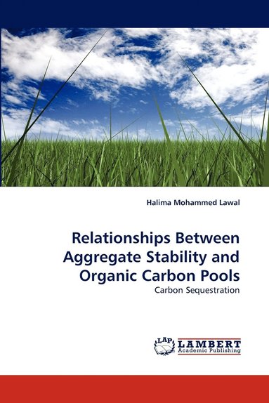 bokomslag Relationships Between Aggregate Stability and Organic Carbon Pools