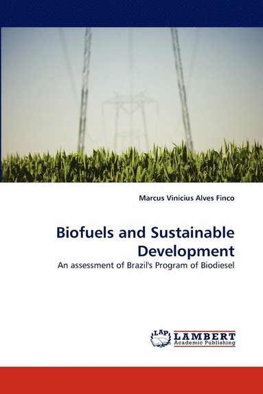 bokomslag Biofuels and Sustainable Development