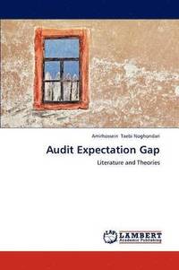 bokomslag Audit Expectation Gap