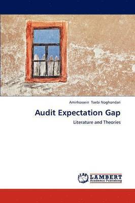 Audit Expectation Gap 1