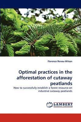 Optimal practices in the afforestation of cutaway peatlands 1
